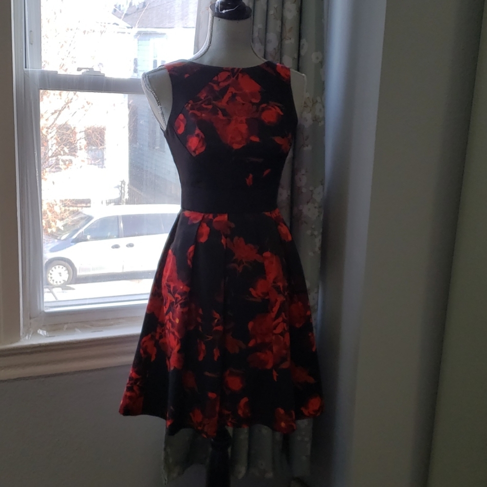 Taylor 2 petite red and black dress